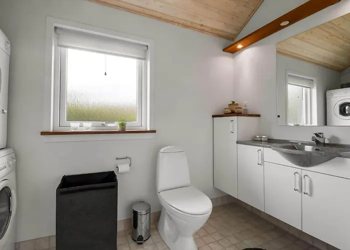 C11323-tarm-brombaervej-8 * Tarm