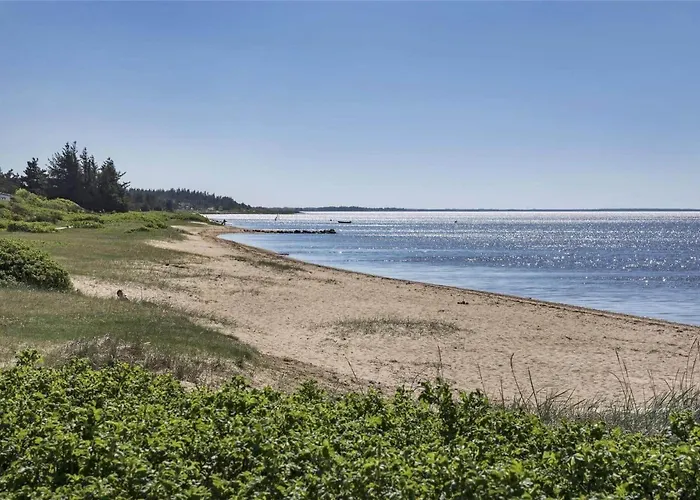 C11323-tarm-brombaervej-8 בית נופש